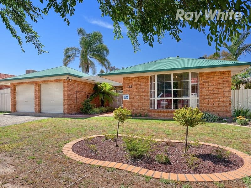 43 Saville Avenue, LAVINGTON NSW 2641, Lavington - Image 1