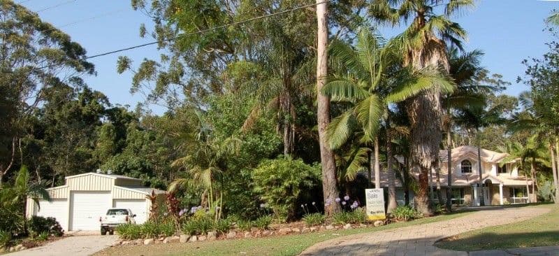 16 Livistona Drive, DOONAN QLD 4562, Doonan - Image 1