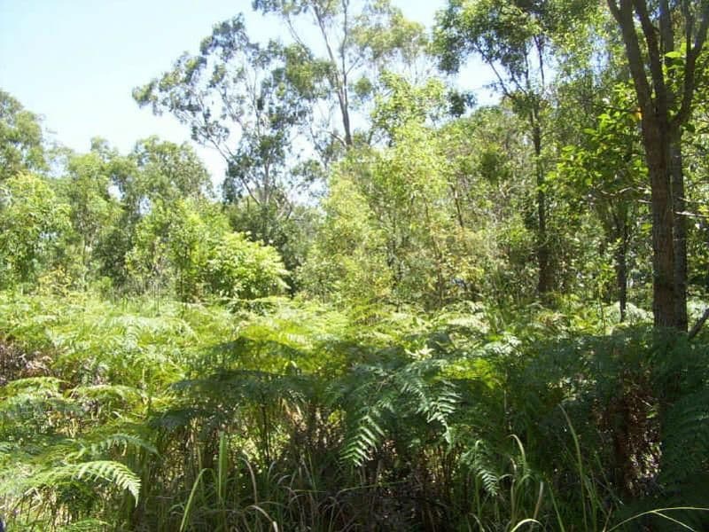 RUSSELL ISLAND QLD 4184, Russell Island - Image 1