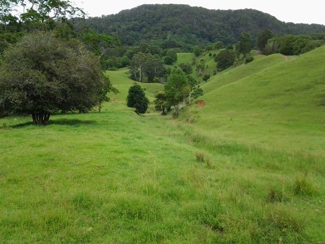 1318 Currumbin Creek Road, Currumbin Valley QLD 4223, Currumbin Valley - Image 1