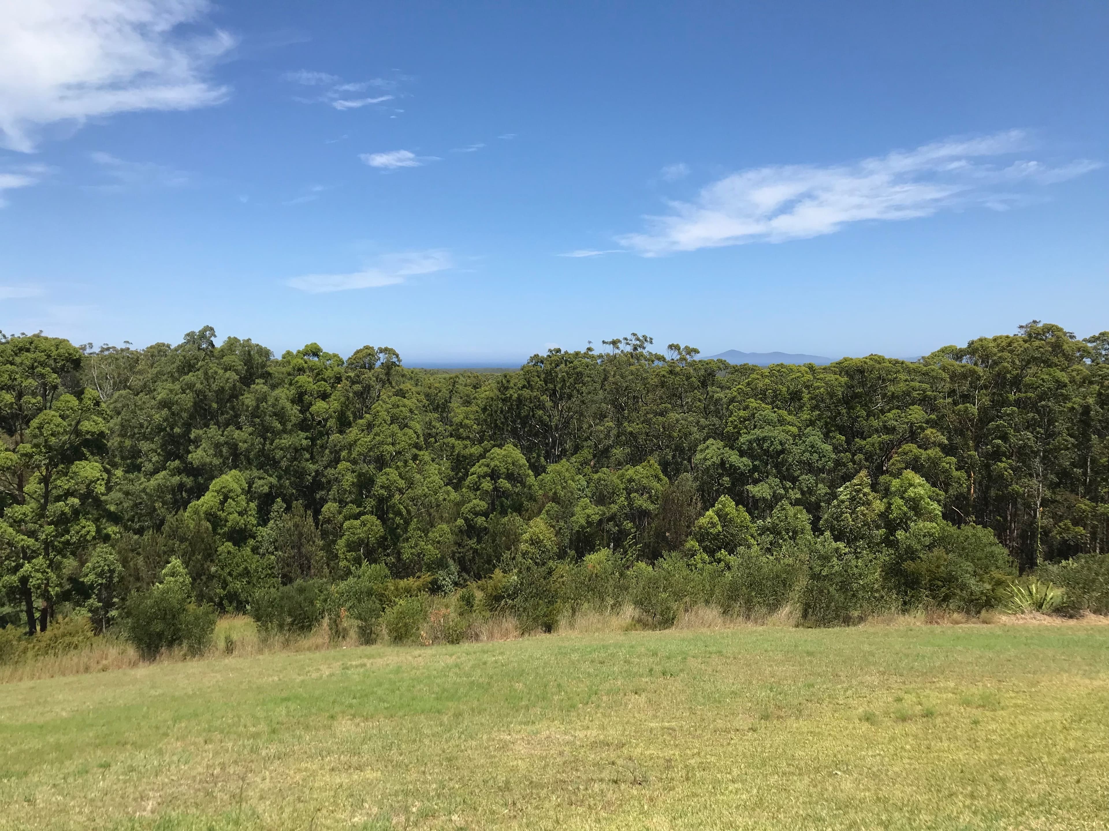 5 Gum Blossom Place, Tallwoods Village NSW 2430, Tallwoods Village - Image 1