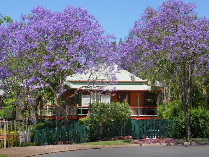 19 Wattle Avenue, YEERONGPILLY QLD 4105, Yeerongpilly - Image 1