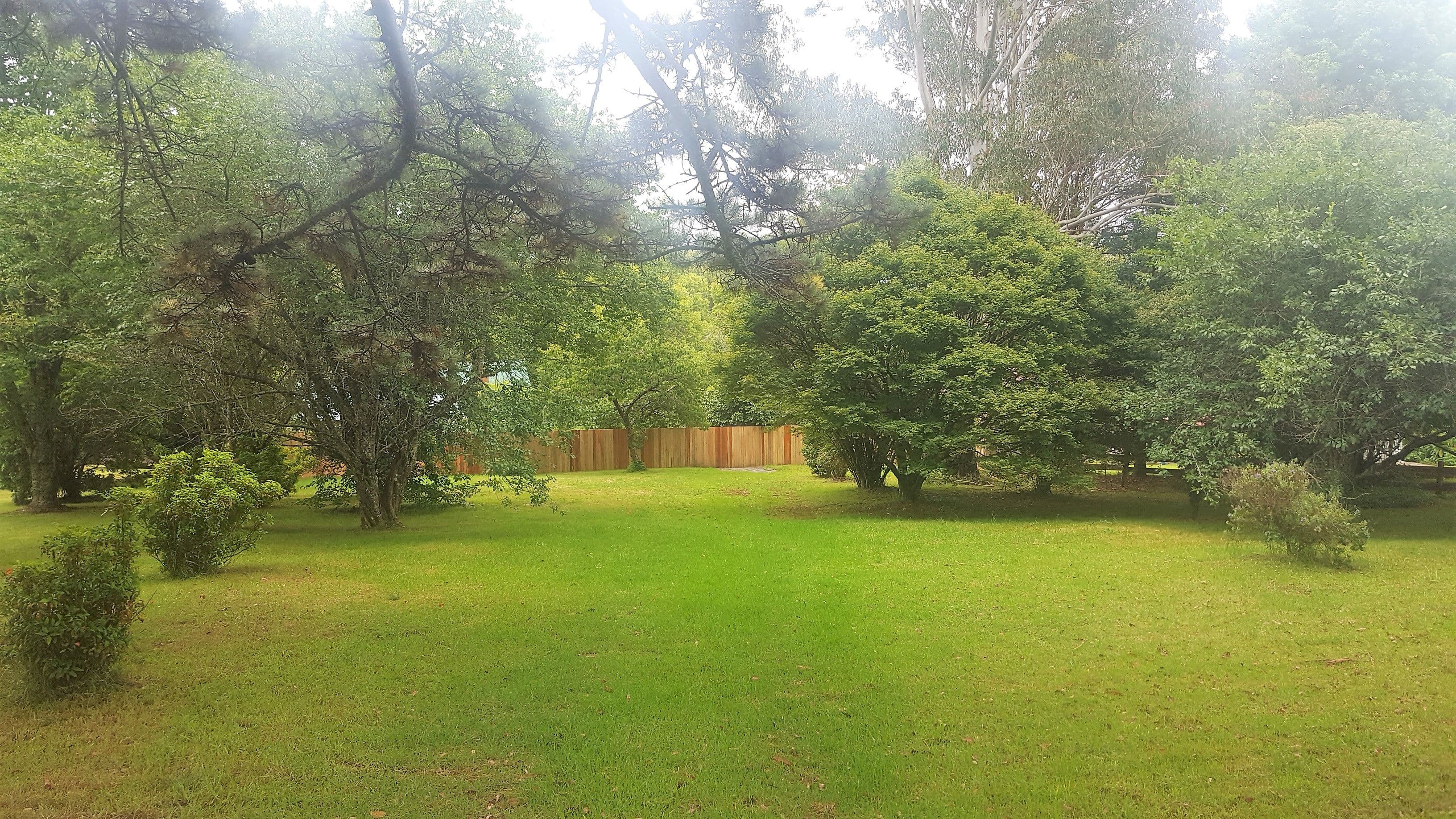 8 Beech Street, Dorrigo NSW 2453, Dorrigo - Image 1