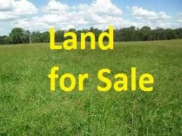 LOT 534 OAKLANDS Estate, Schofields NSW 2762, Schofields - Image 1