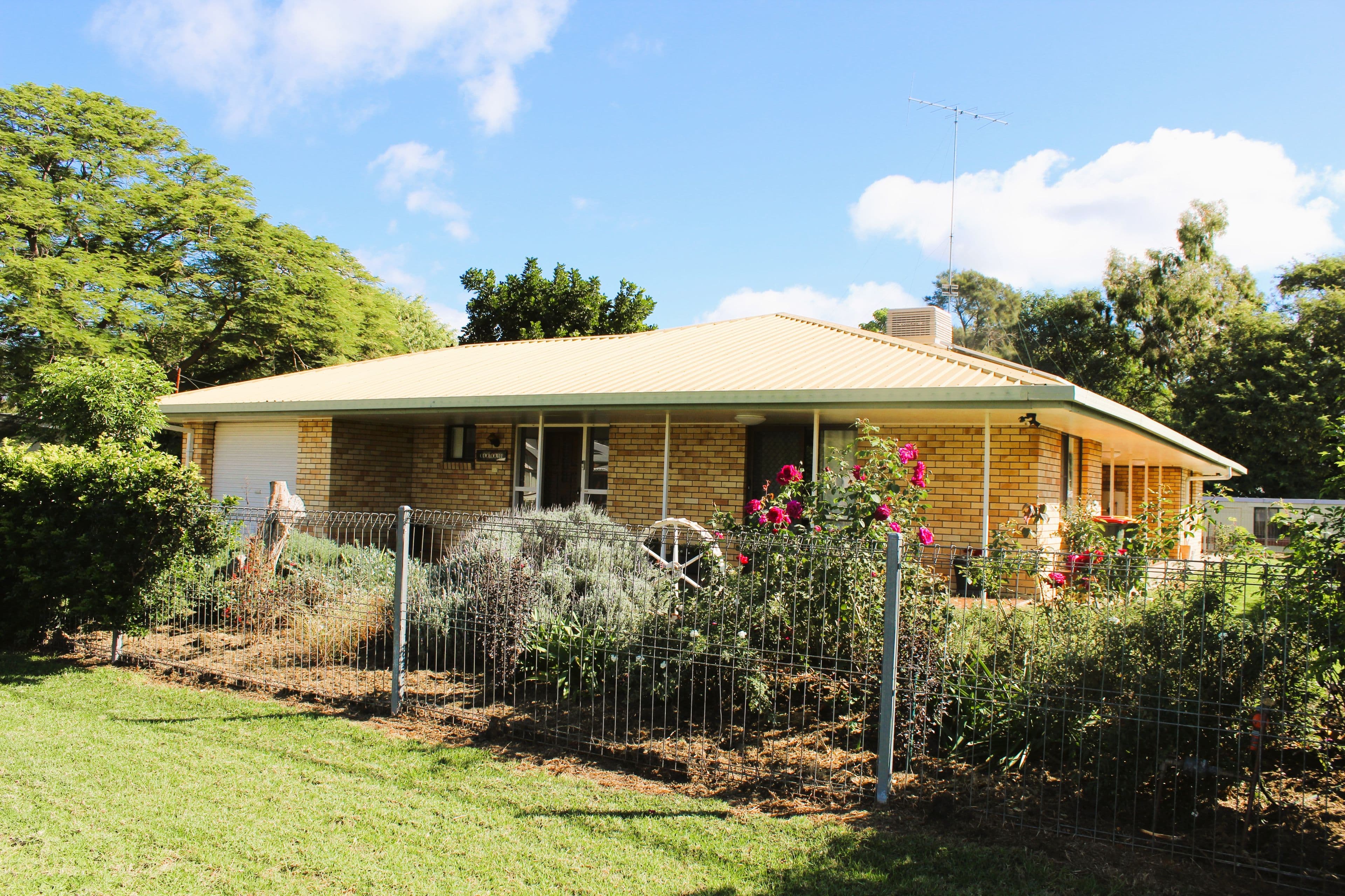 11 Hindmarsh, Goondiwindi QLD 4390, Goondiwindi - Image 1