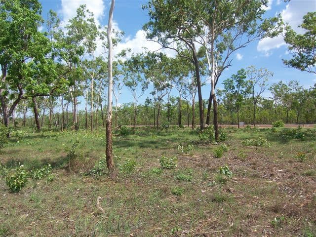 885 Arnhem Highway, HUMPTY DOO NT 0836, Humpty Doo - Image 1