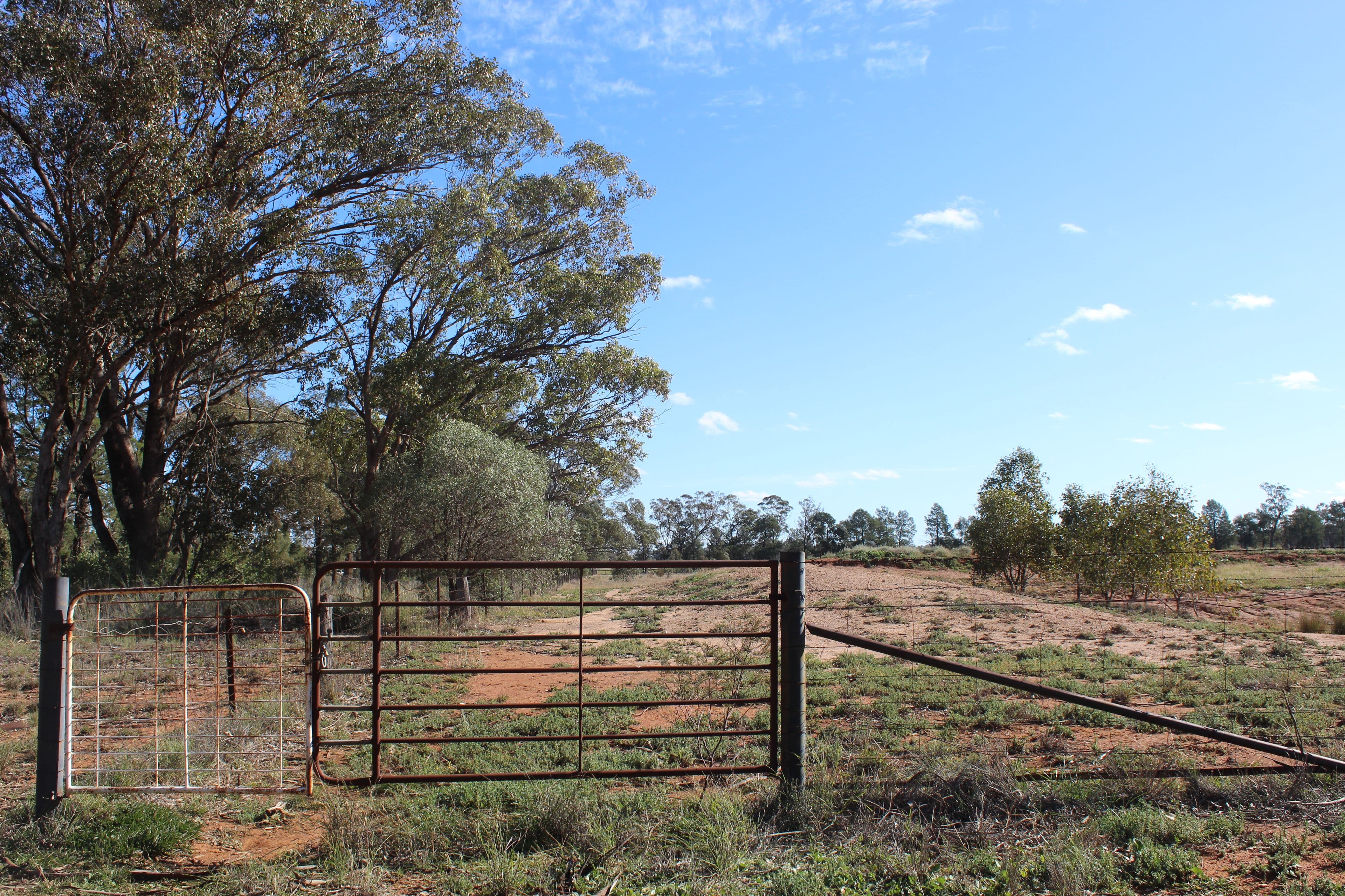 130 Tomingley Cemetery Road, Tomingley NSW 2869, Tomingley - Image 1