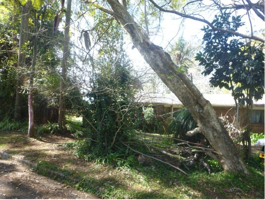 Lot 6 5 Azalea Court, MALENY QLD 4552, Maleny - Image 1