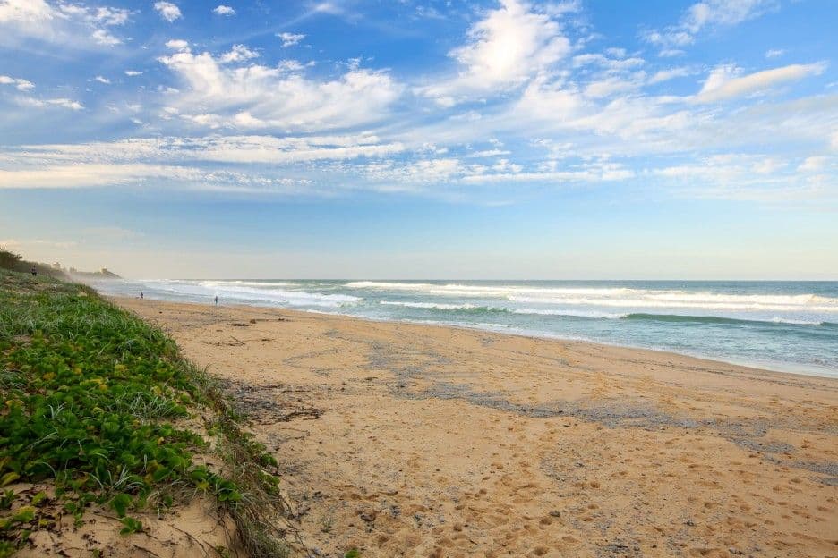 15 Curbarra Street, Buddina QLD 4575, Buddina - Image 1