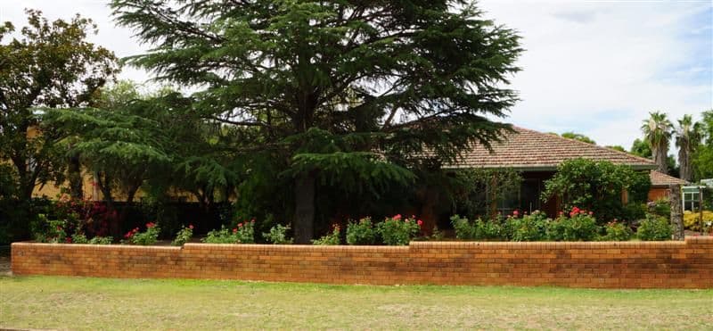 40 Bishop Street, Dubbo NSW 2830, Dubbo - Image 1