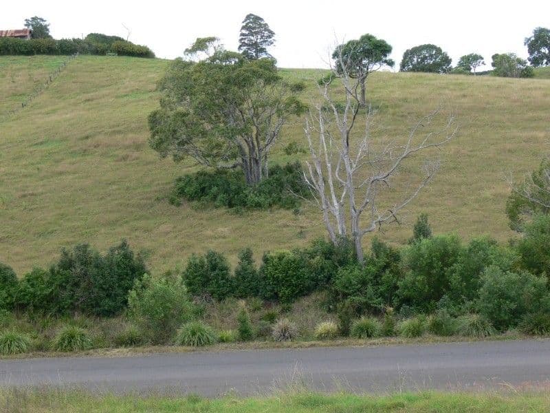 GOONELLABAH NSW 2480, Goonellabah - Image 1