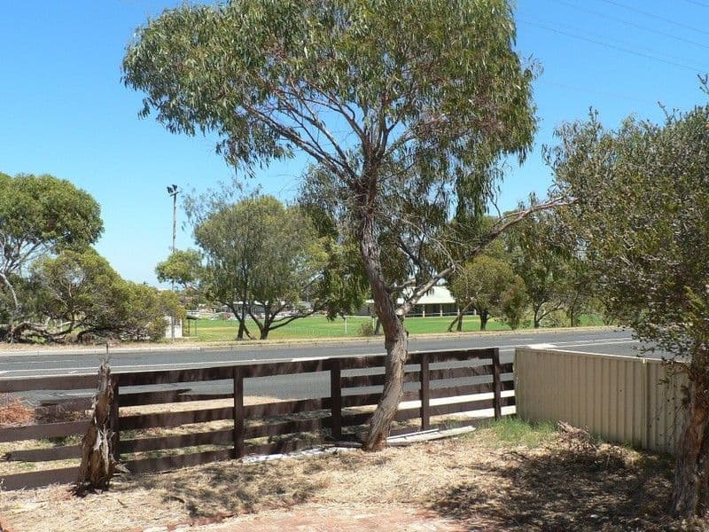 264 Carrington Street, HILTON WA 6163, Hilton - Image 1