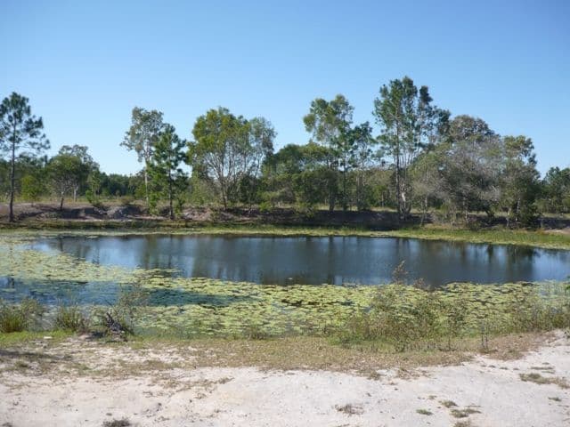 50 Hamilton Road, ELIMBAH QLD 4516, Elimbah - Image 1