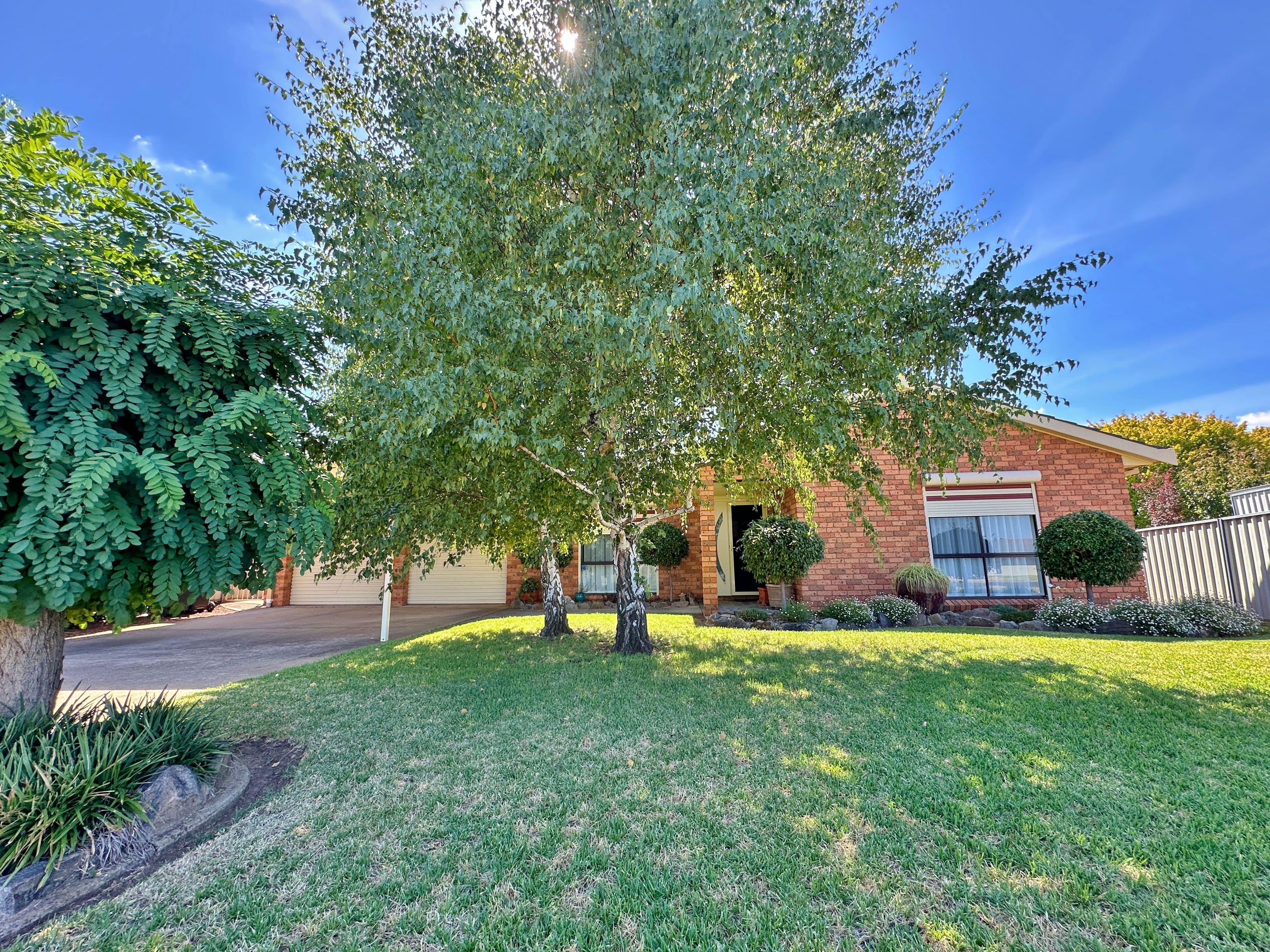 58 Back Creek Road, Young NSW 2594, Young - Image 1