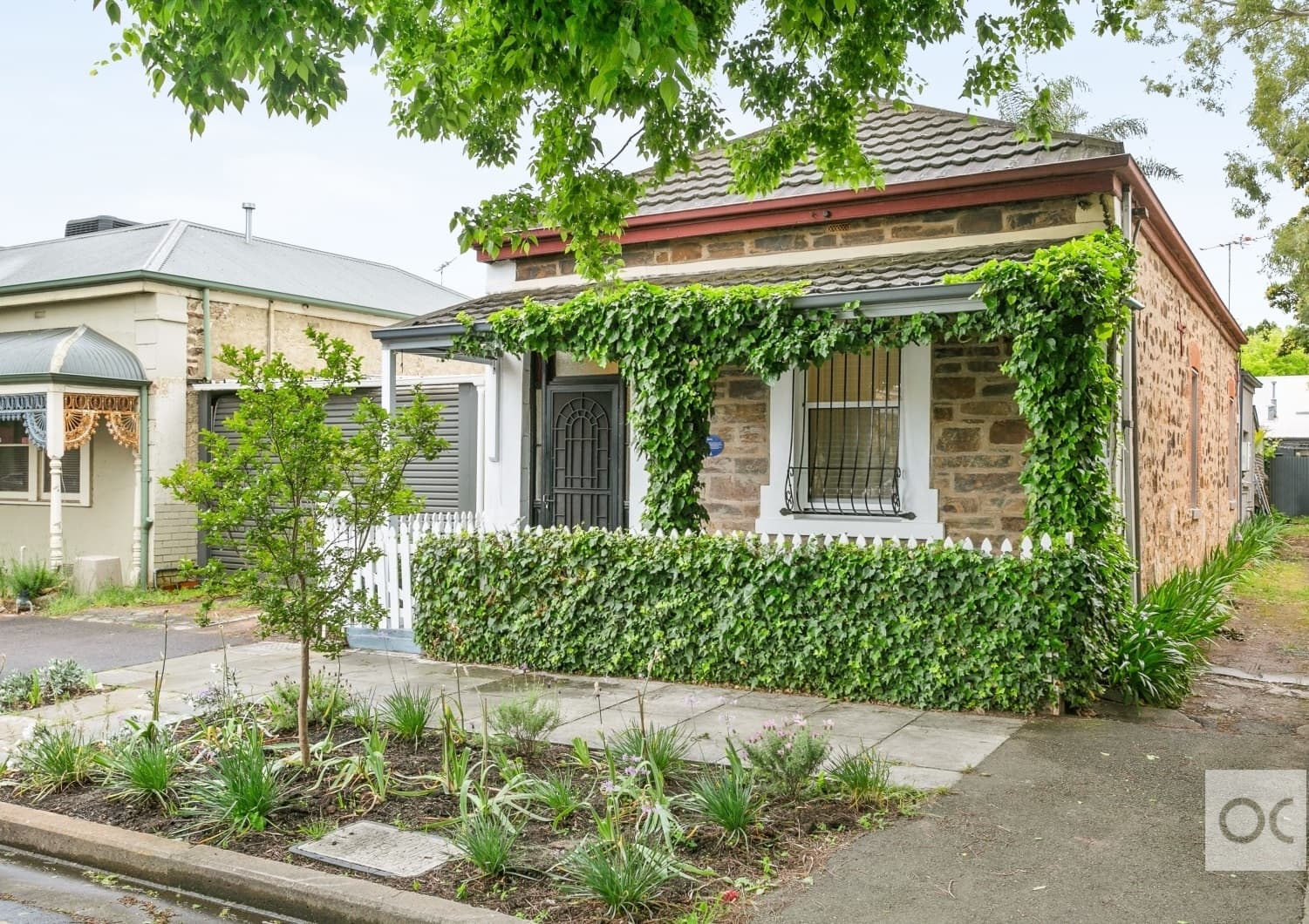 24 McLaren Street, Adelaide - Image 1