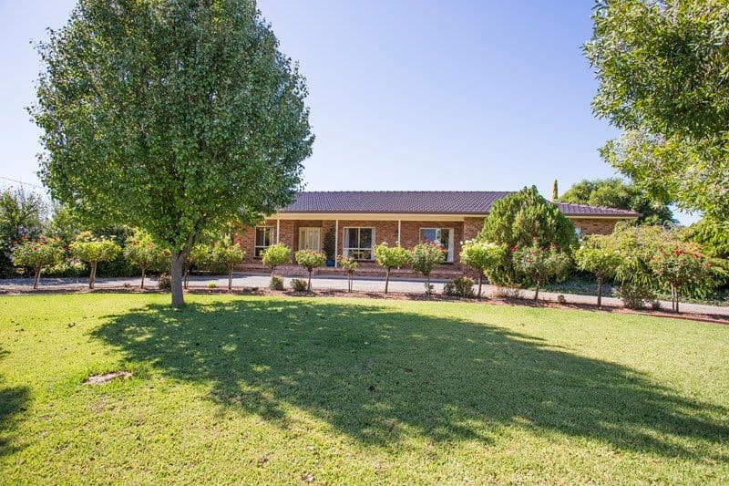 Farm 2564 Murray Road, YOOGALI NSW 2680, Yoogali - Image 1