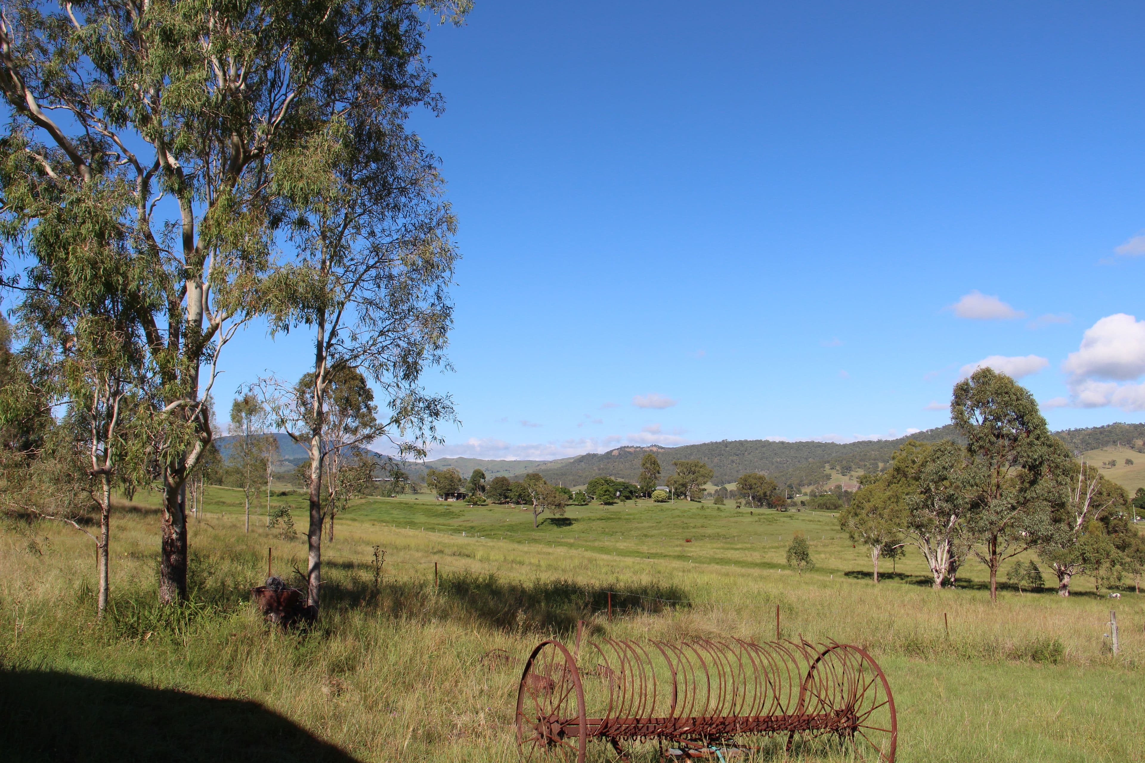 0 Widgee Creek Road, Hillview QLD 4285, Hillview - Image 1