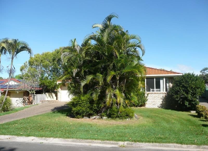 43 Grass Tree Circuit, Cabarita Beach NSW 2488, Cabarita Beach - Image 1