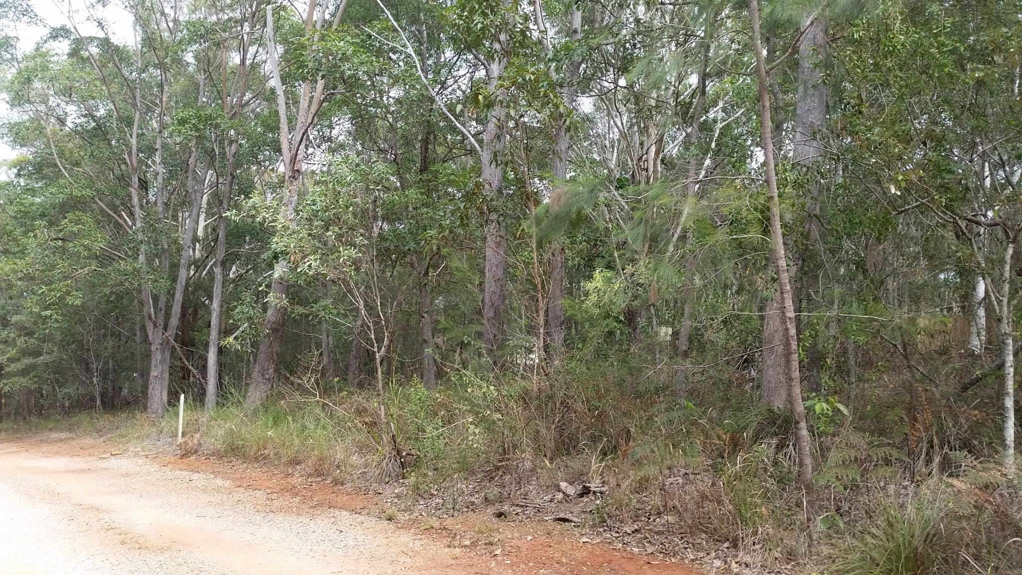 9 Belgrave Road, Russell Island QLD 4184, Russell Island - Image 1