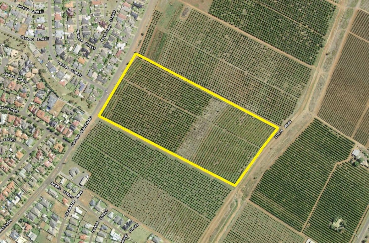 1687 Clifton Boulevard, Griffith NSW 2680, Griffith - Image 1