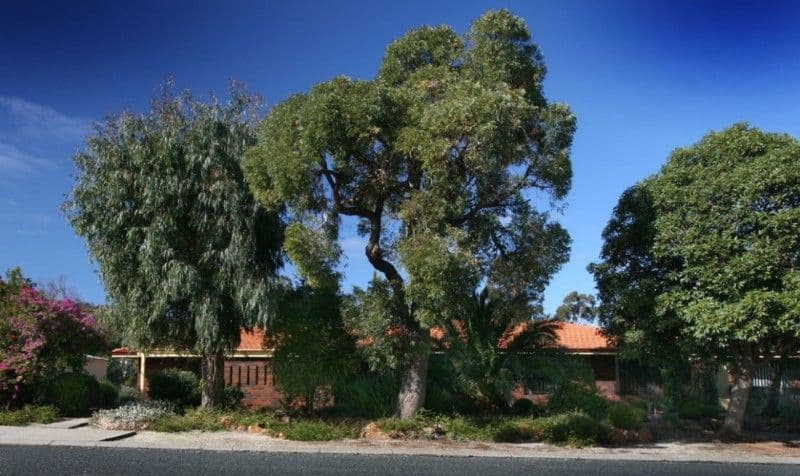 26 Aralia Way, FORRESTFIELD WA 6058, Forrestfield - Image 1