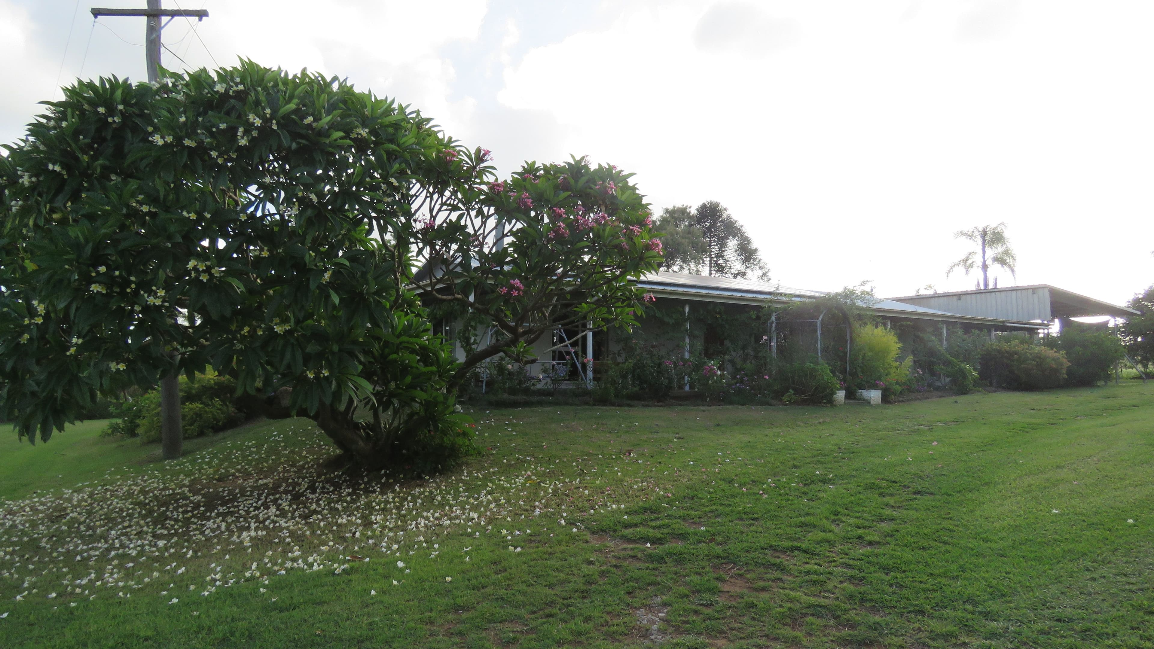 304 Hivesville Road, Hivesville QLD 4612, Hivesville - Image 1