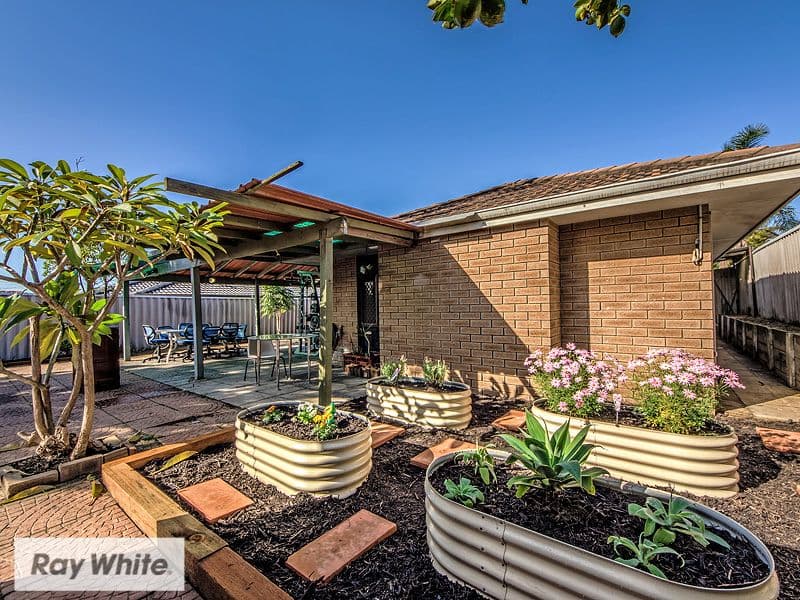 36 Dampier Loop, Mirrabooka WA 6061, Mirrabooka - Image 1
