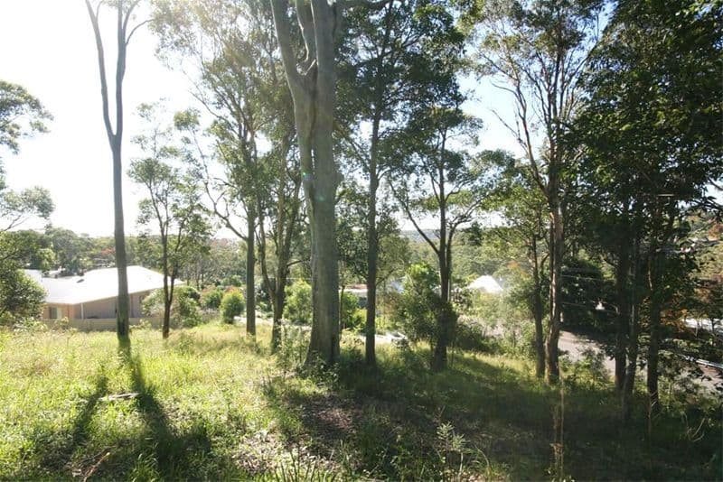 246 Wallsend Road, CARDIFF HEIGHTS NSW 2285, Cardiff Heights - Image 1