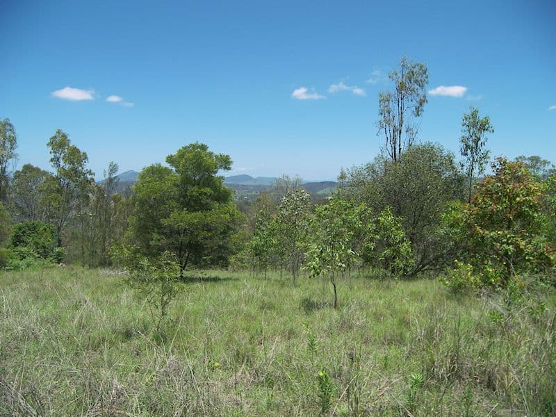 196-198 Boomerang Drive, KOORALBYN QLD 4285, Kooralbyn - Image 1