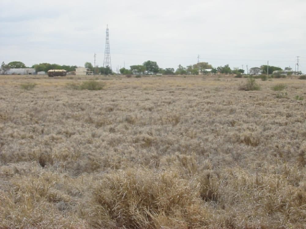 Lot 125 Winton Road, HUGHENDEN QLD 4821, Hughenden - Image 1
