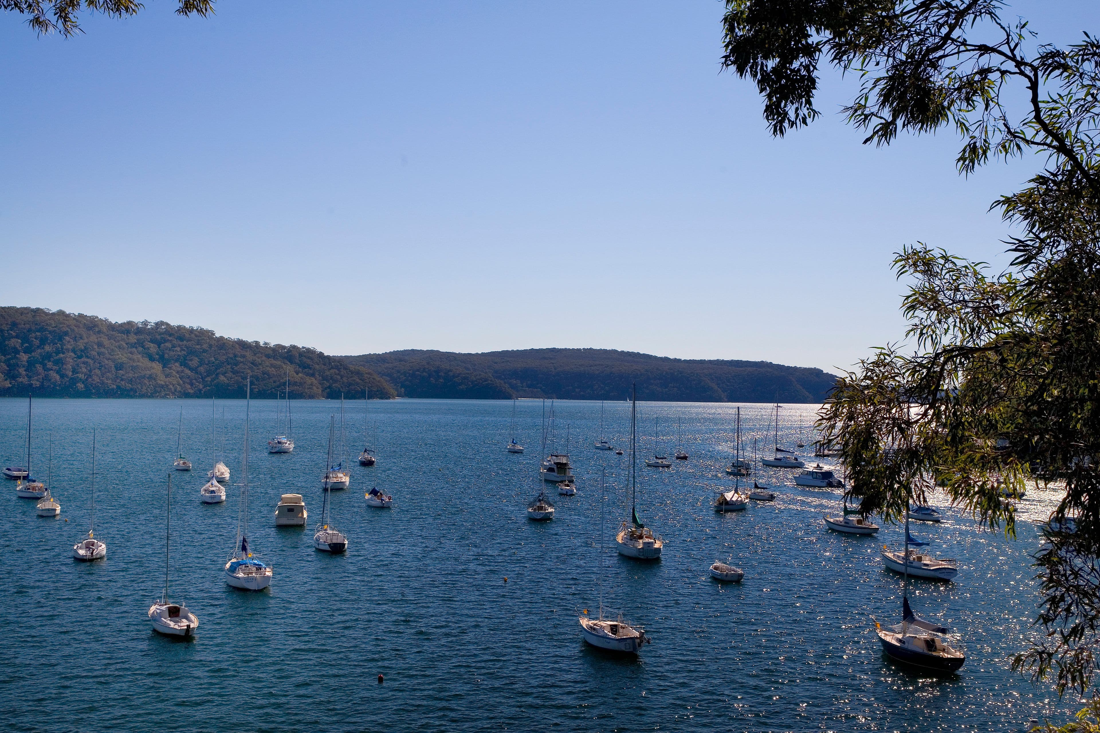 22 Paradise Avenue, Avalon NSW 2107, Avalon Beach - Image 1