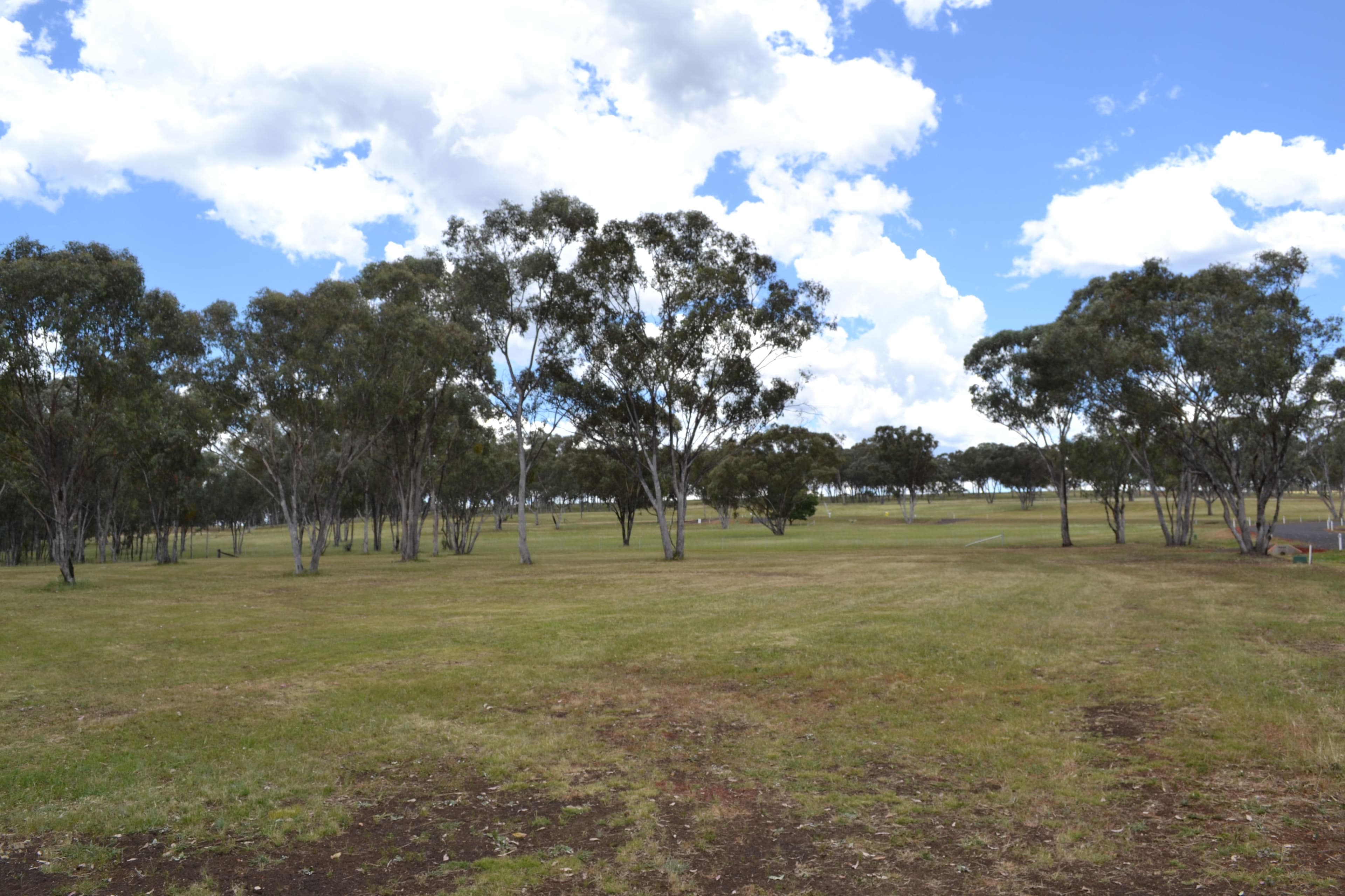 Lot 1 Bimbadeen Drive, Inverell NSW 2360, Inverell - Image 1
