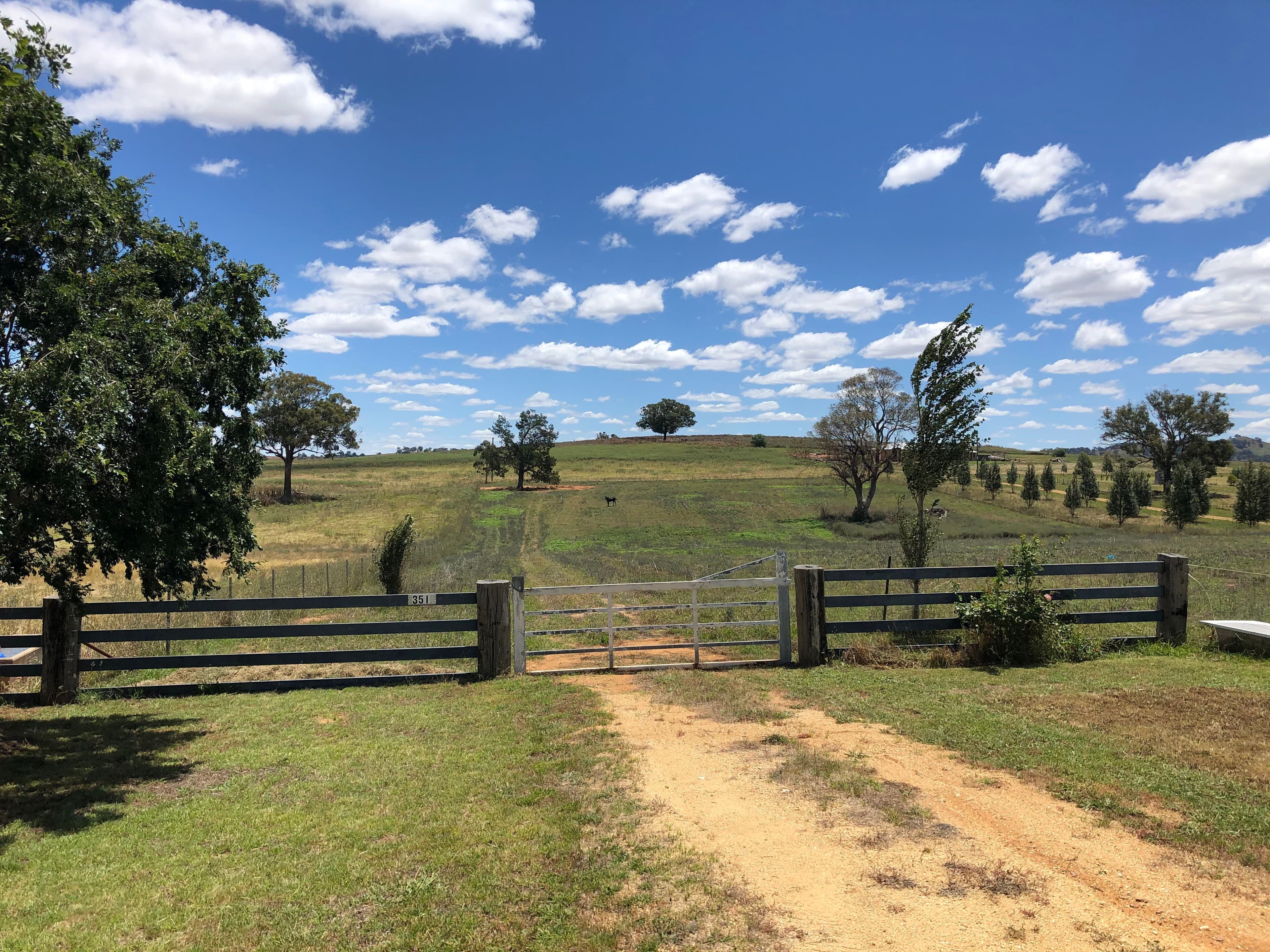 351 Elouera Road, Cowra NSW 2794, Cowra - Image 1