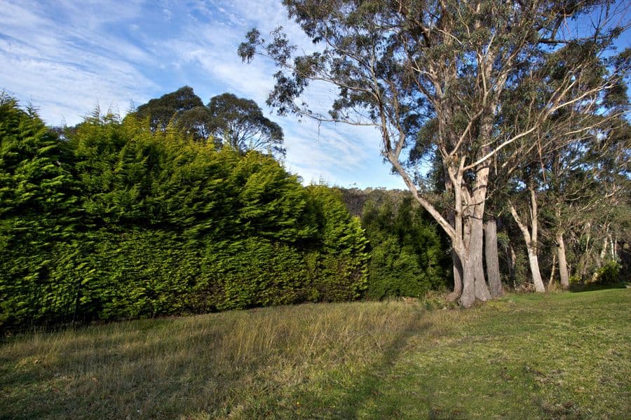 33 Sunbeam Avenue, BLACKHEATH NSW 2785, Blackheath - Image 1
