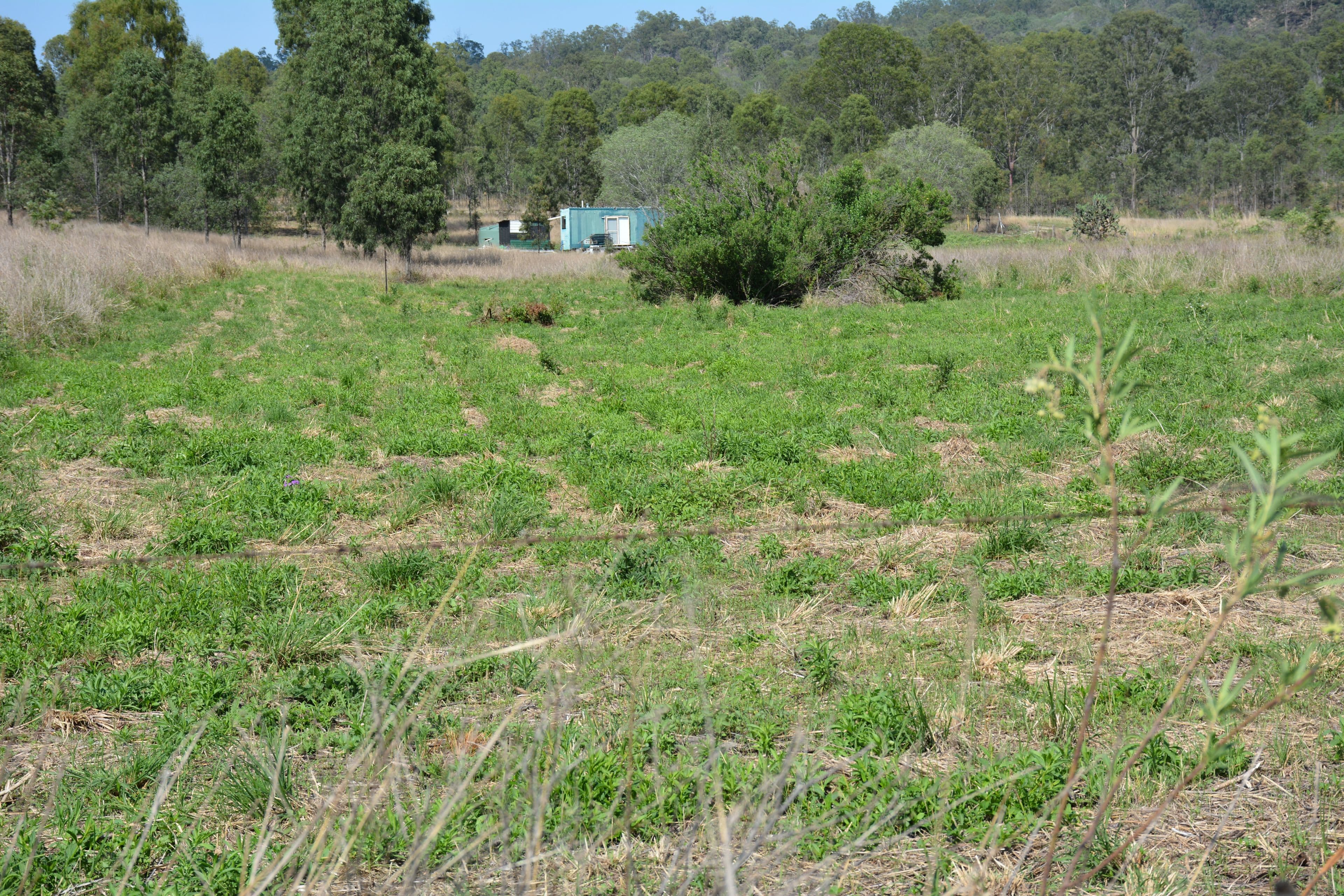 305 & 318 Chichester Street, MOUNT PERRY QLD 4671, Mount Perry - Image 1