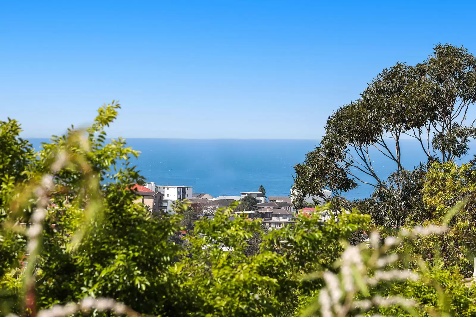 12/380 Bronte Road, Bronte, Westlake - Image 1