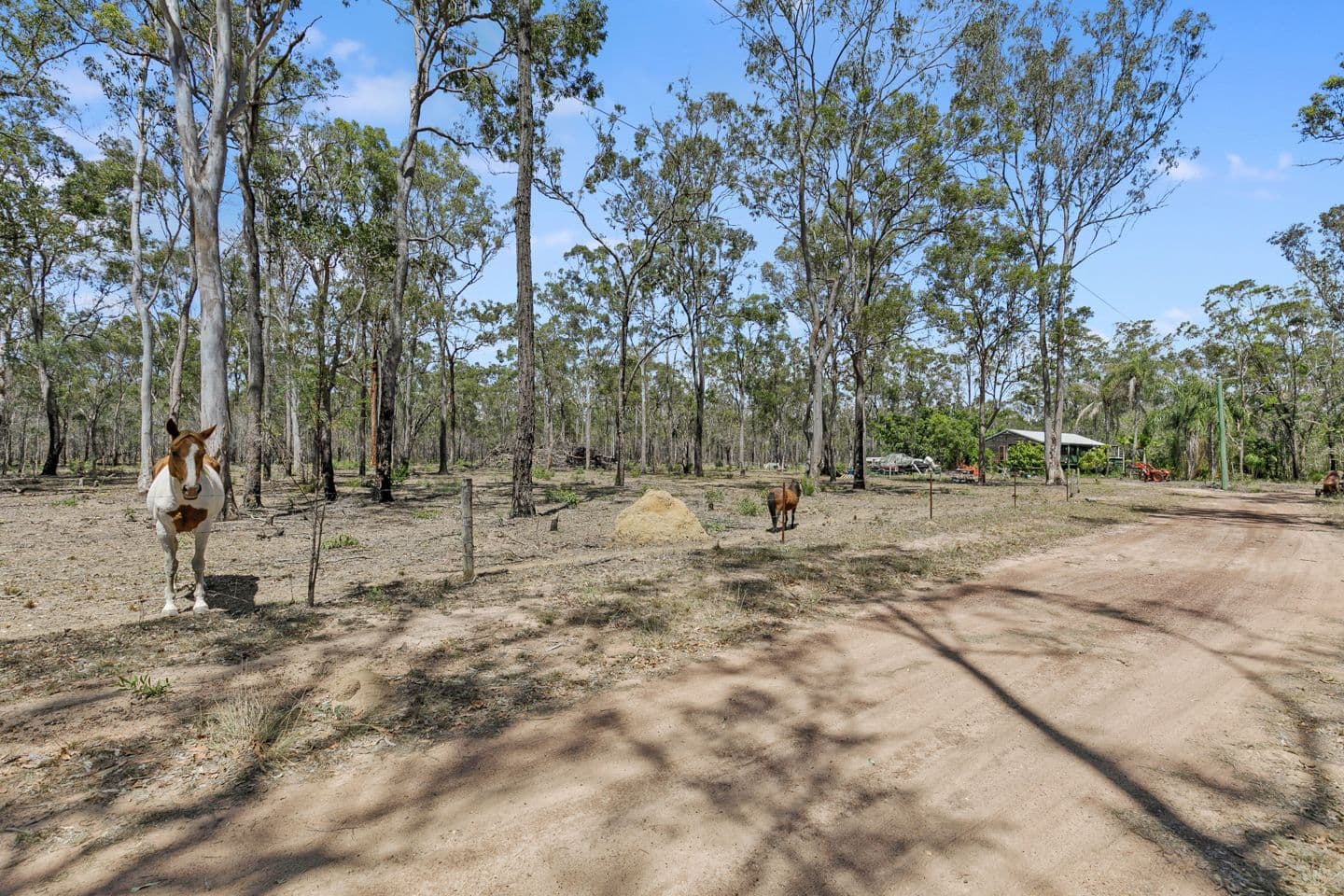397 Old Toogoom Road, Beelbi Creek QLD 4659, Beelbi Creek - Image 1