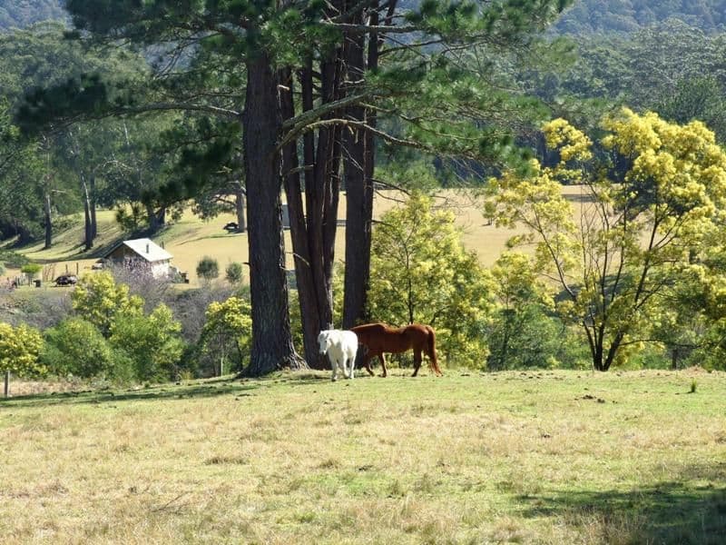 Lot 16 The River Road, BROOMAN NSW 2538, Brooman - Image 1