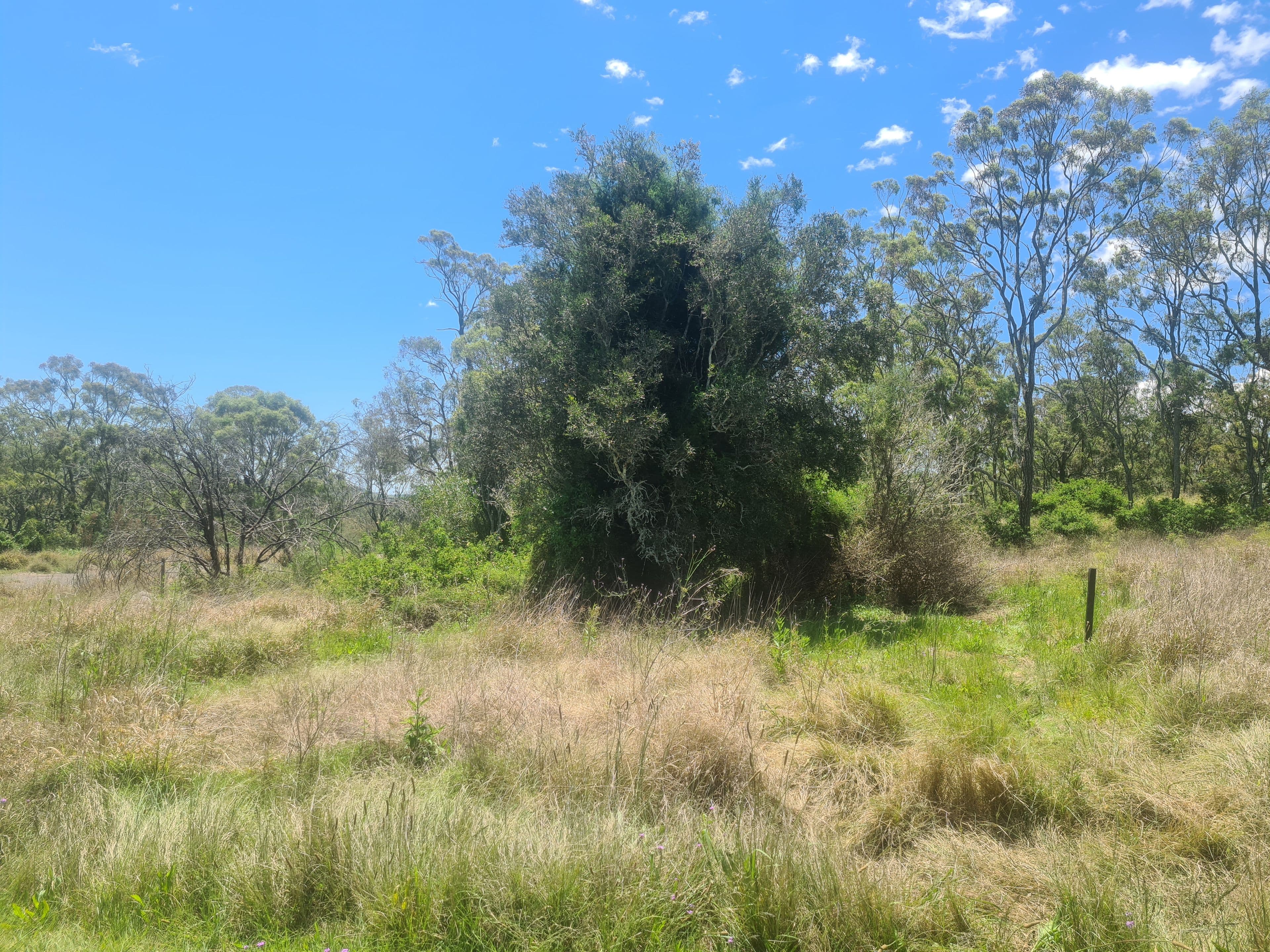 Lot 17 Garrett Street, Haden QLD 4353, Haden - Image 1