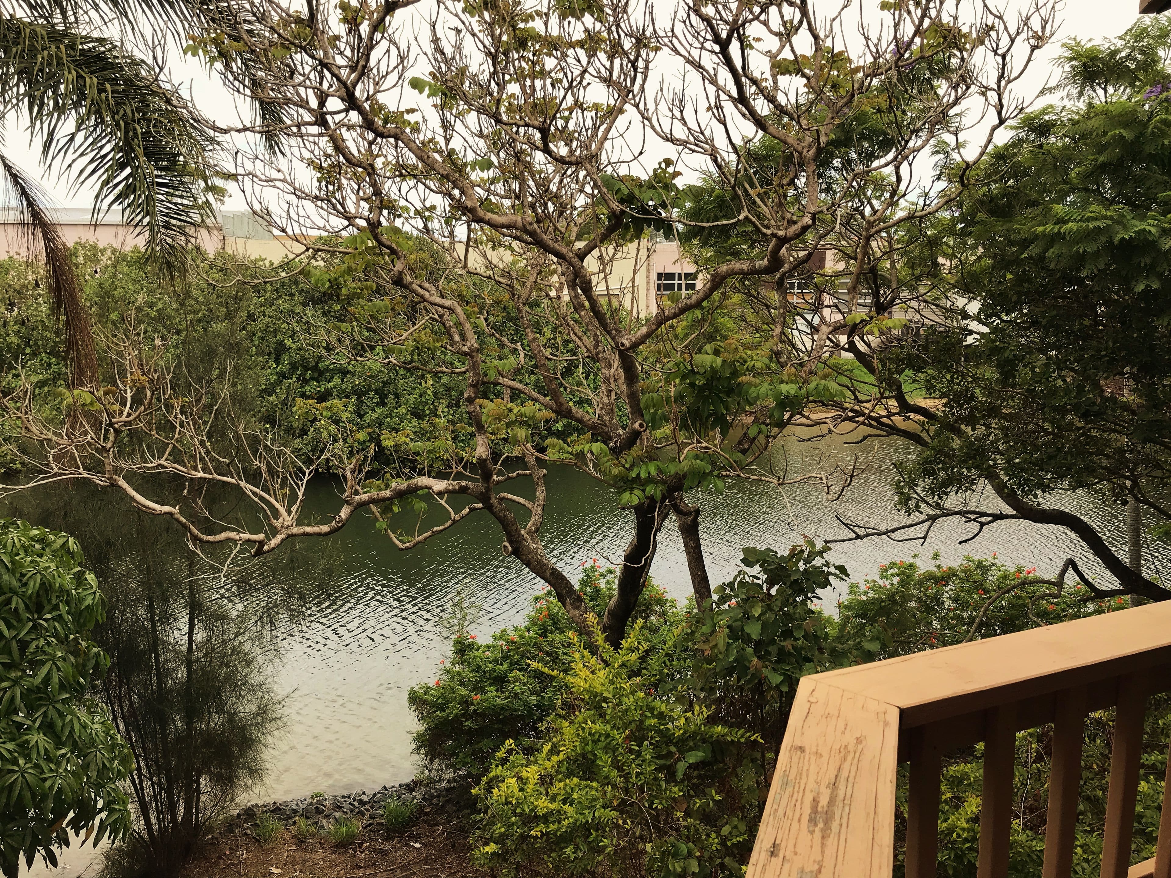 11 Orvieto Avenue, Mermaid Waters QLD 4218, Mermaid Waters - Image 1