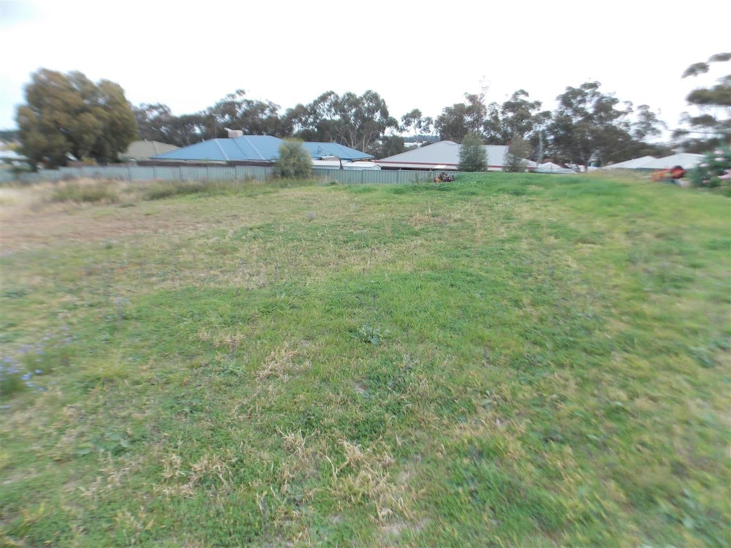 24 Vaucluse Place, Parkes NSW 2870, Parkes - Image 1