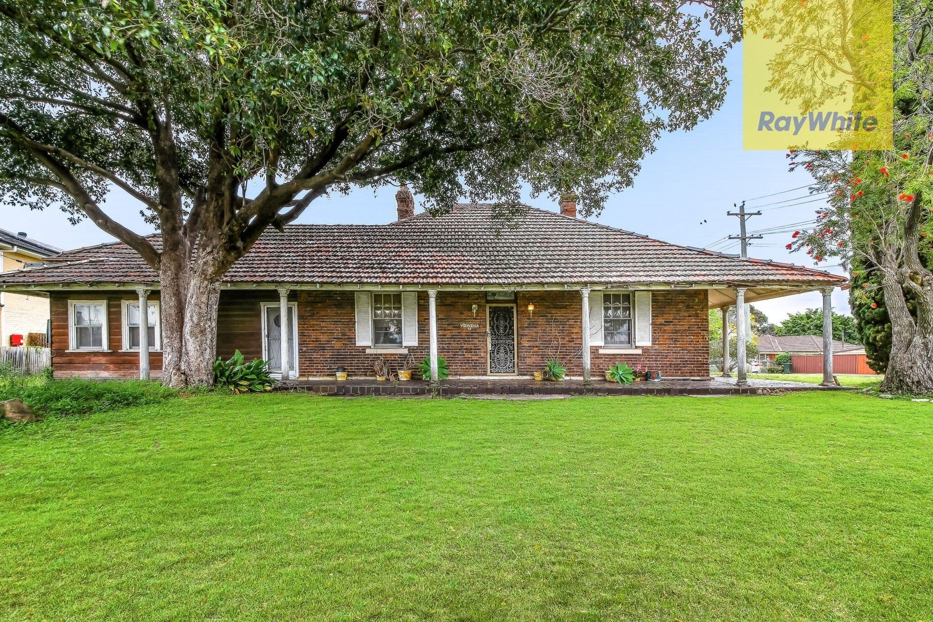 54 Bridge Road, Westmead - Image 1