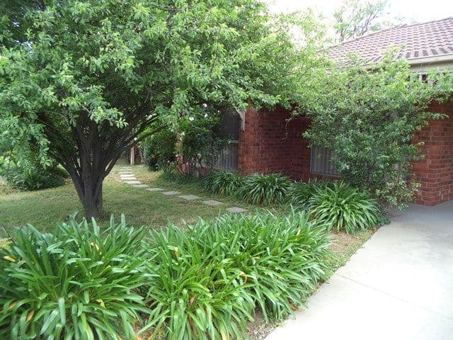 47 Lawson Drive, Moama - Image 1