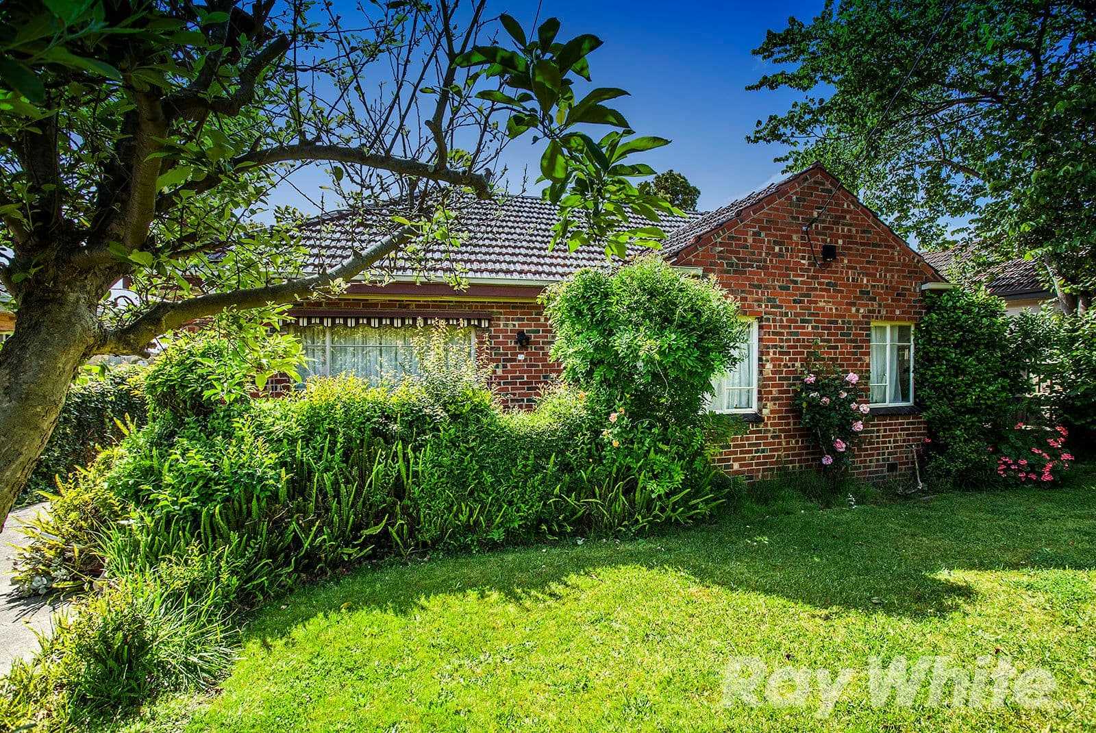 73 Creek Road, Mitcham VIC 3132, Mitcham - Image 1