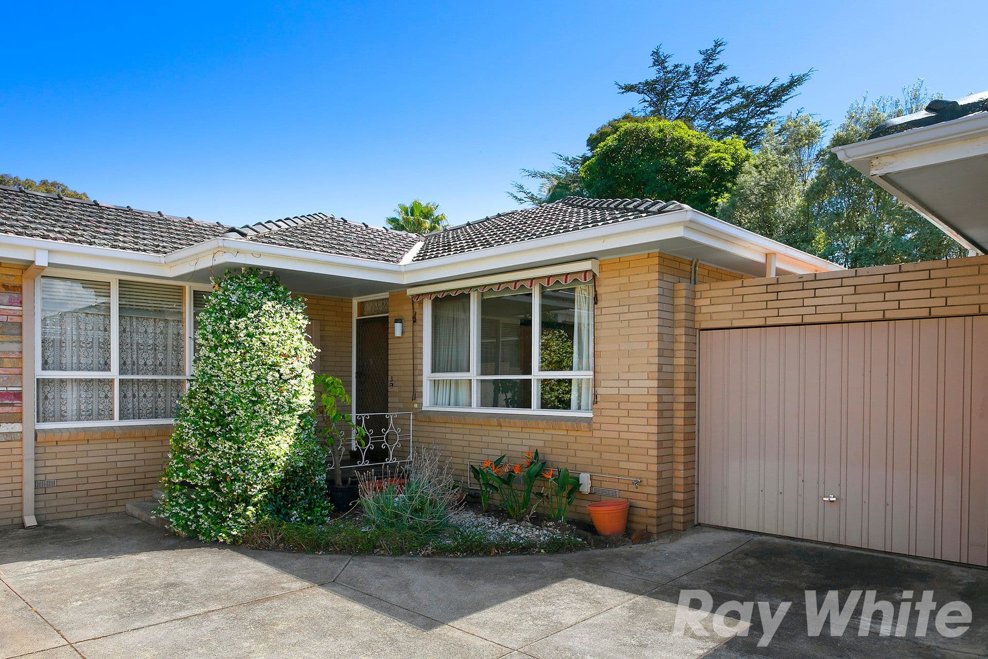 24-26 Barilla Road, Moorabbin VIC 3189, Moorabbin - Image 1