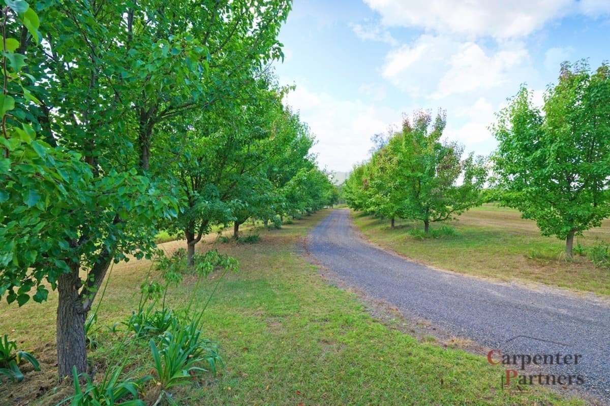 15 Nightingale Road, PHEASANTS NEST, Pheasants Nest - Image 1