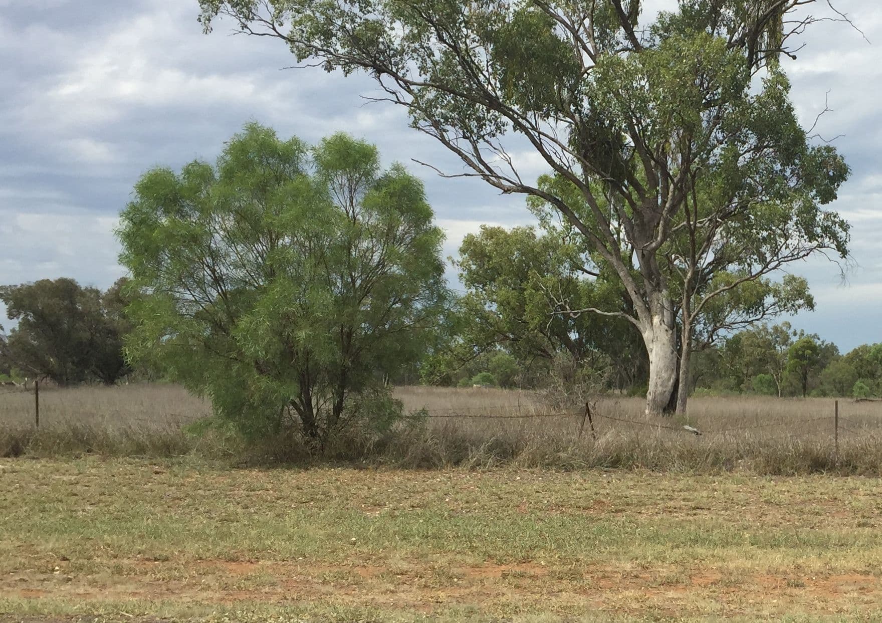 Lot 303, 11 Creek Street, Amby QLD 4462, Amby - Image 1