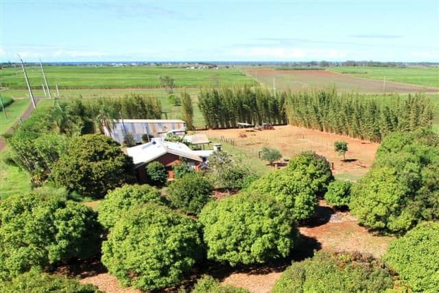 25 Behnkes Road, WOONGARRA QLD 4670, Woongarra - Image 1