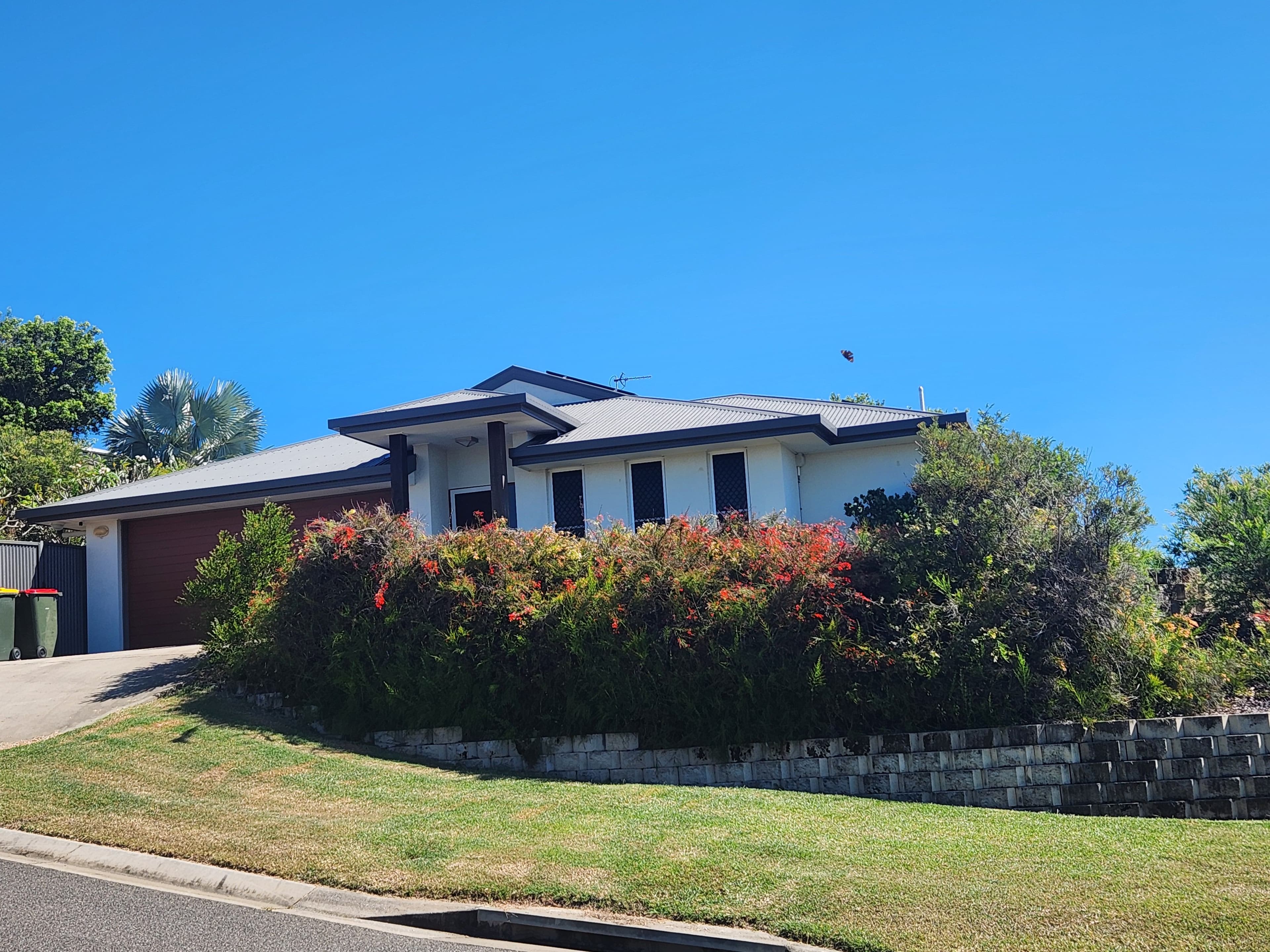 2 Eucalyptus Place, Kirkwood QLD 4680, Kirkwood - Image 1