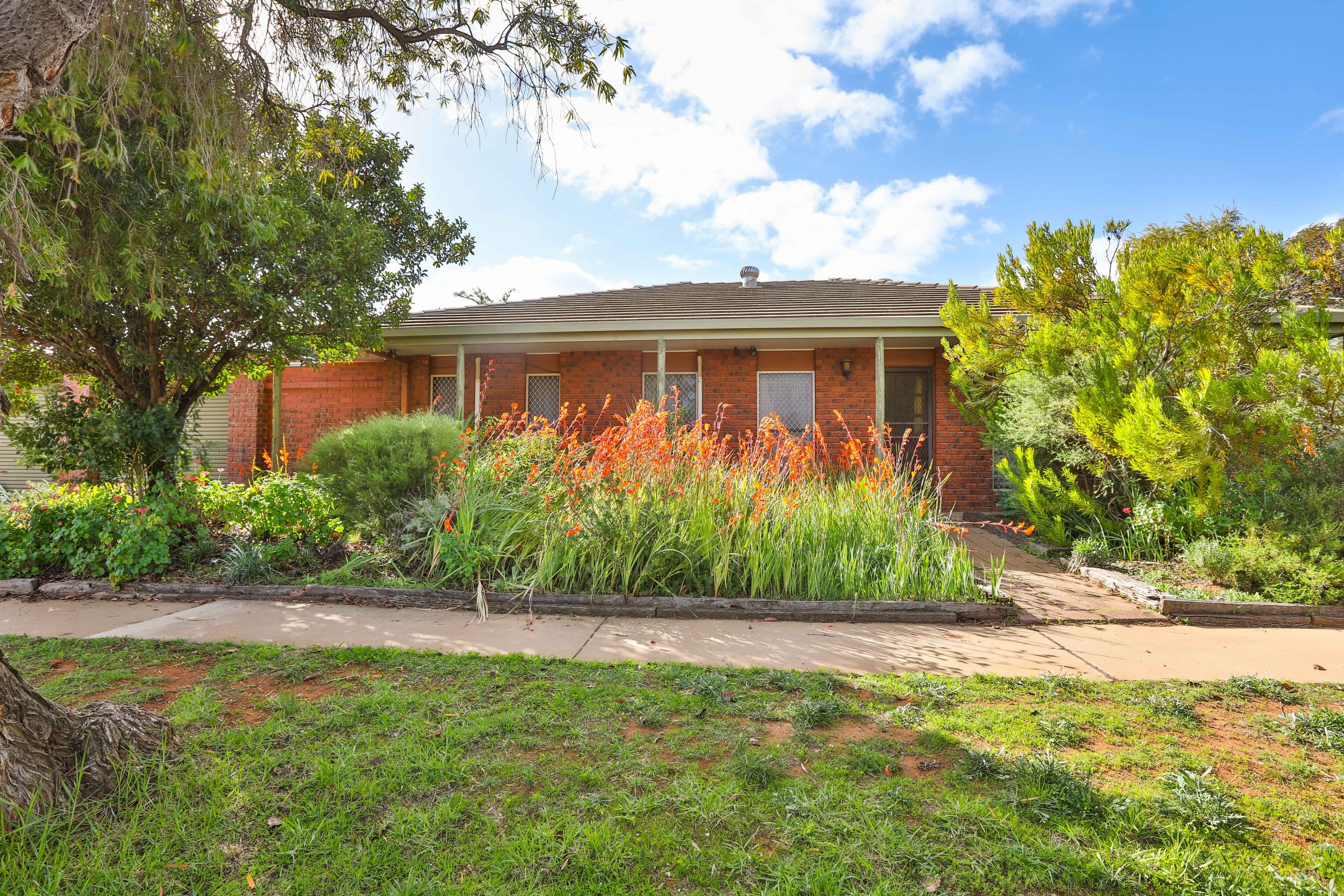 33 Teal Drive, Mildura VIC 3500, Mildura - Image 1